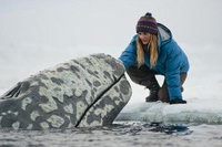 Big Miracle (Der Ruf der Wale)